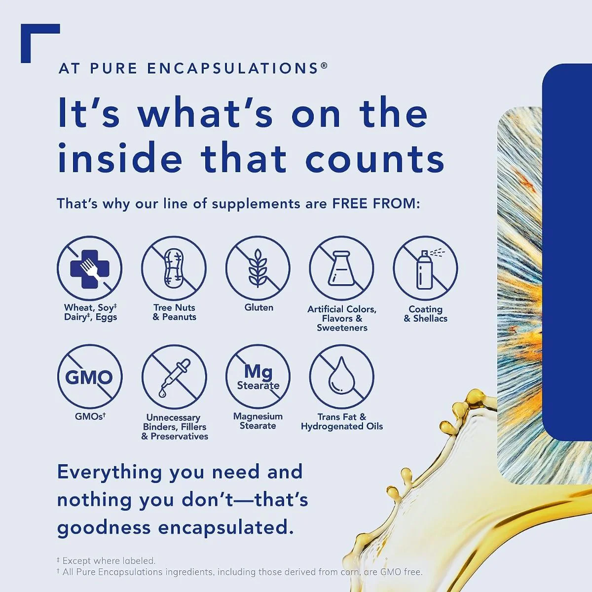 Acetyl-L-Carnitine 500 MG 60Capsules - Image 5
