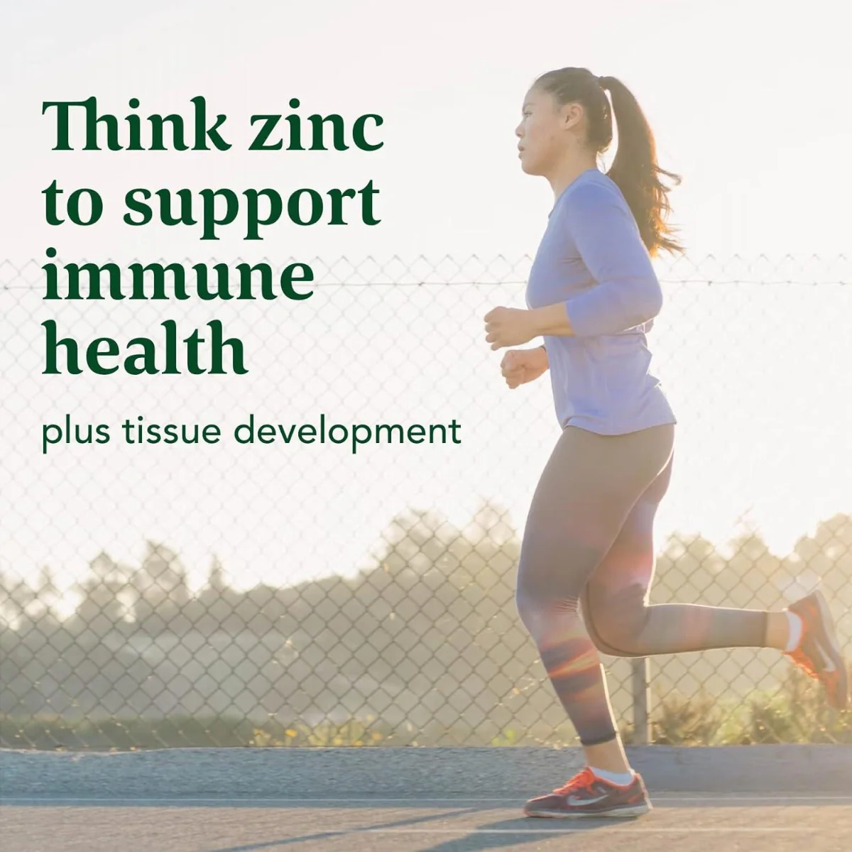Zinc - Image 4