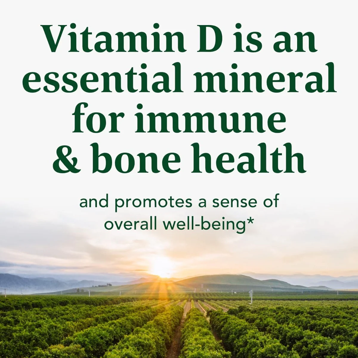 Vitamin D3 2000 IU 60 Tablets - Image 4